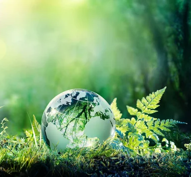 Simulateur d'ecosystèmes